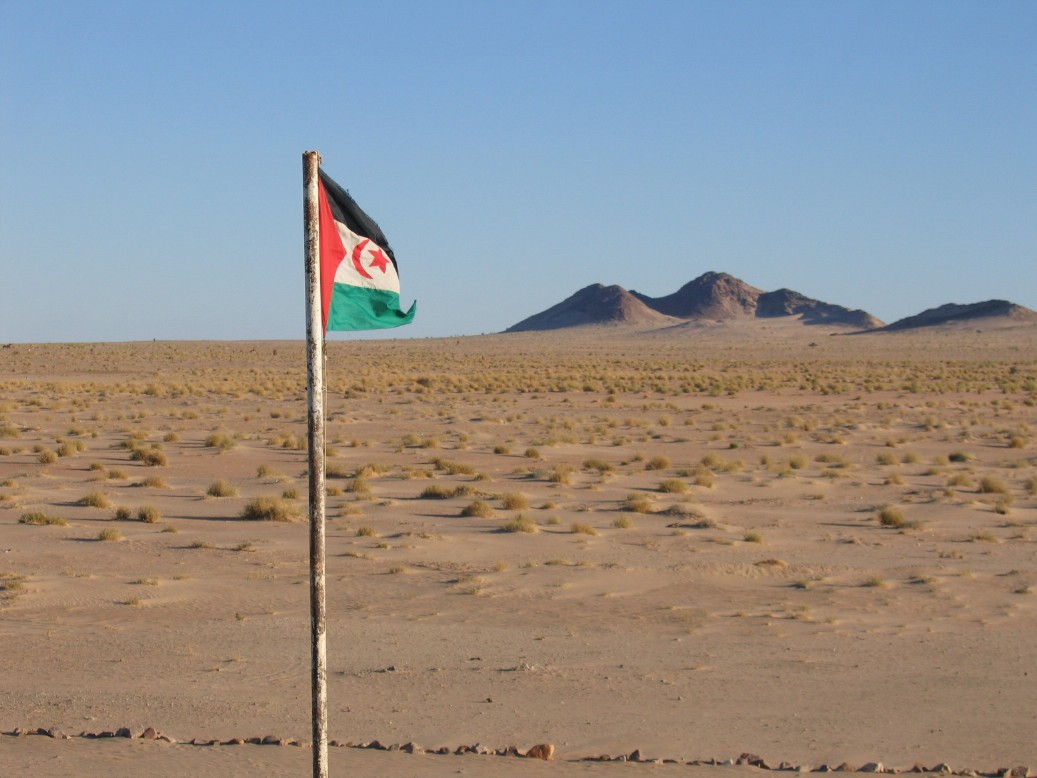UN envoy to Western Sahara pushes for restart of peace talks