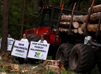 Judicial ruling on Polish logging expected to escalate confrontation with Brussels