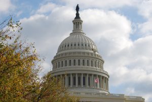 The insurrection will not be scrutinized in the Senate