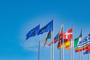 Autonomy or Unity: An EU Divide