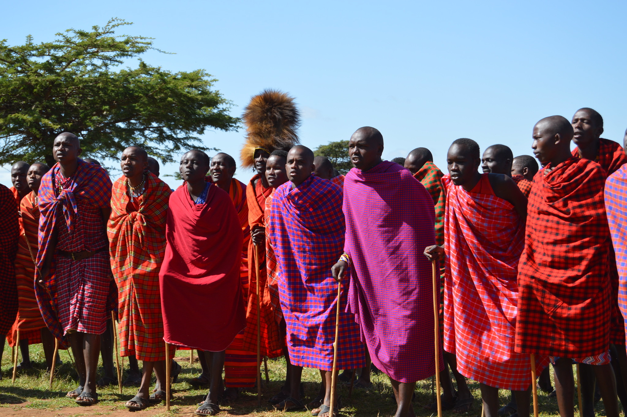 Tanzania Maasai land dispute