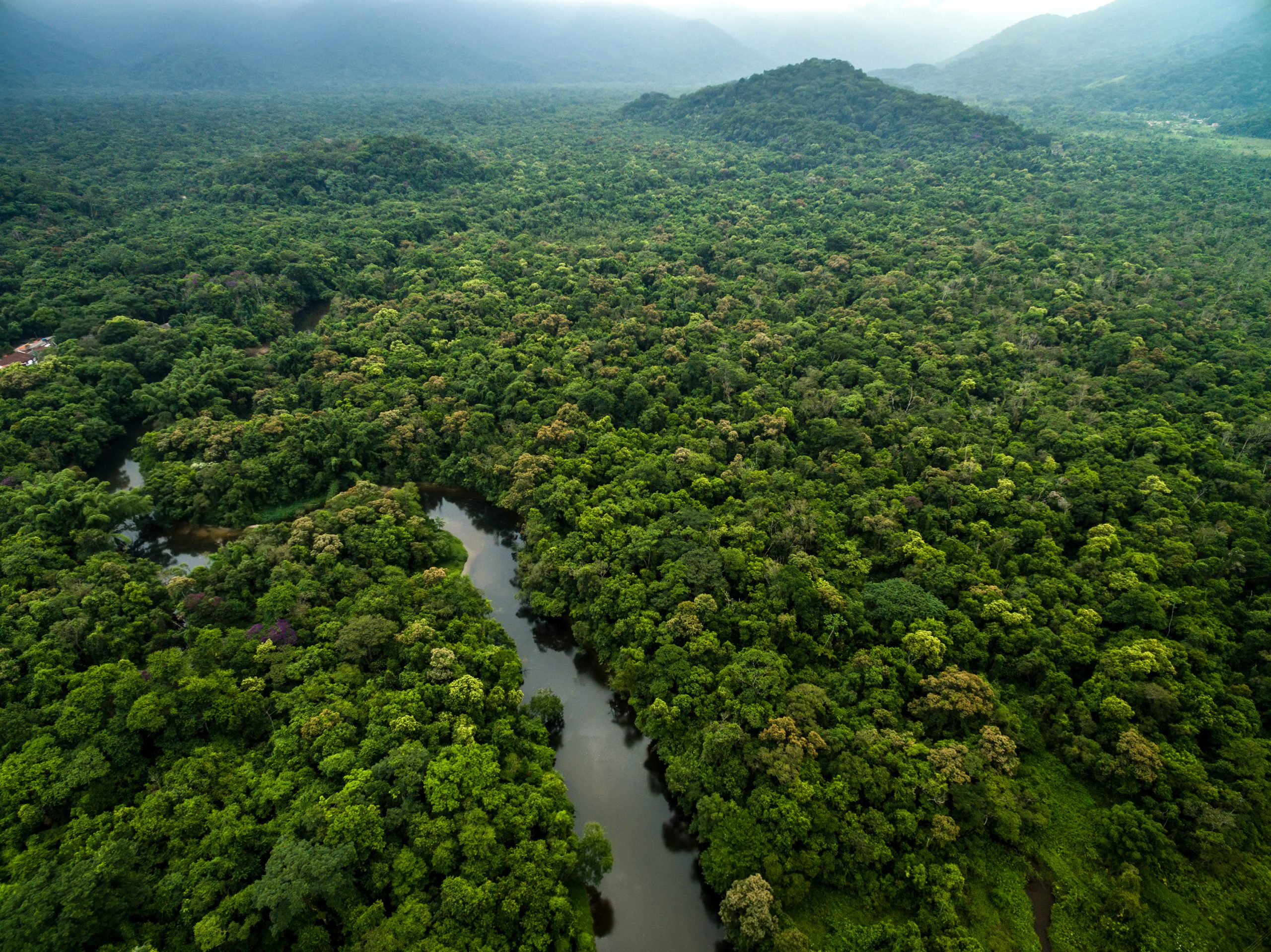 An aerial shot of the Amazon River basin