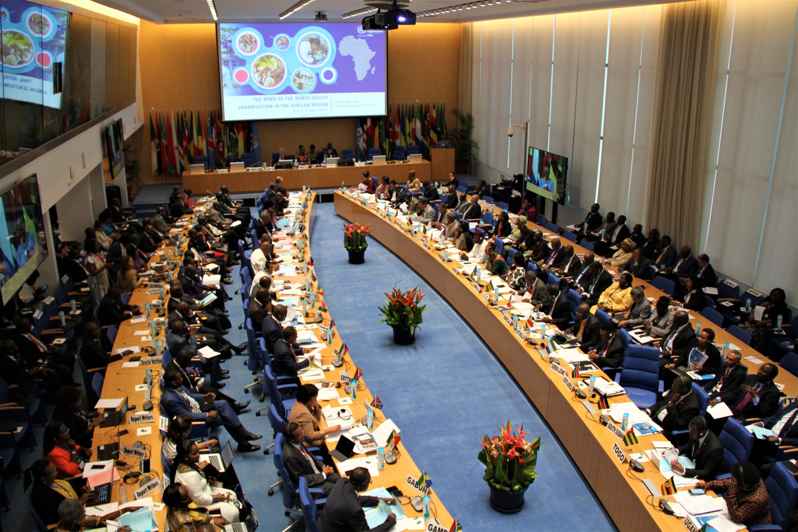 The WHO regional committee for Africa meeting during the 69th session