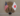 US Japan trade